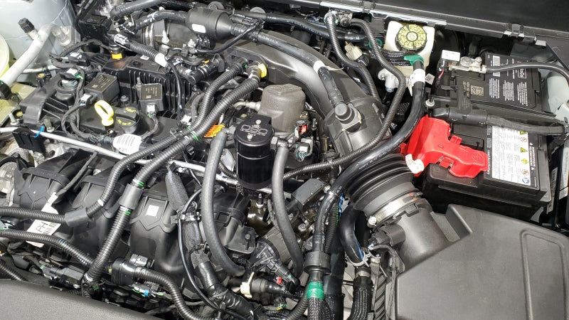 J&amp;L 19-23 Ford/Lincoln SUV &amp; Trucks w 2.0 EcoBoost Driver Side Oil Separator 3.0 - Black Ano
