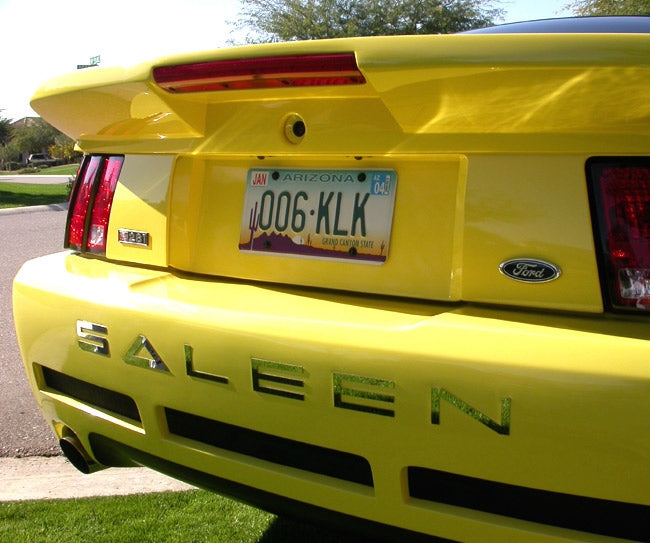 SALEEN Polished Stainless Steel Bumper Inserts