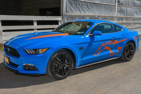 Mustang Stallion Side Stripes (15-17)