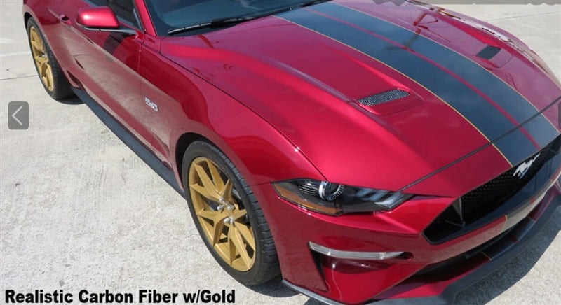 Mustang Narrow Dual Full Length Stripes (18-20)