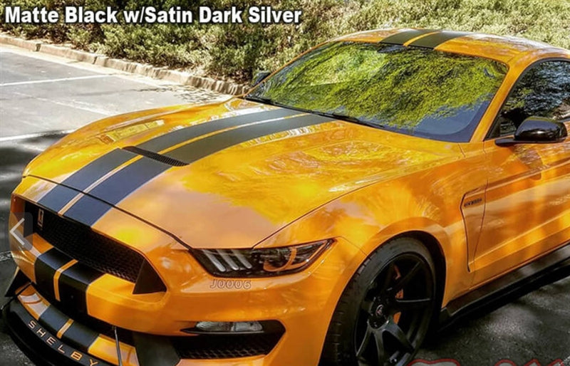 Mustang Dual Full Length Stripes GT350 (2015-20)