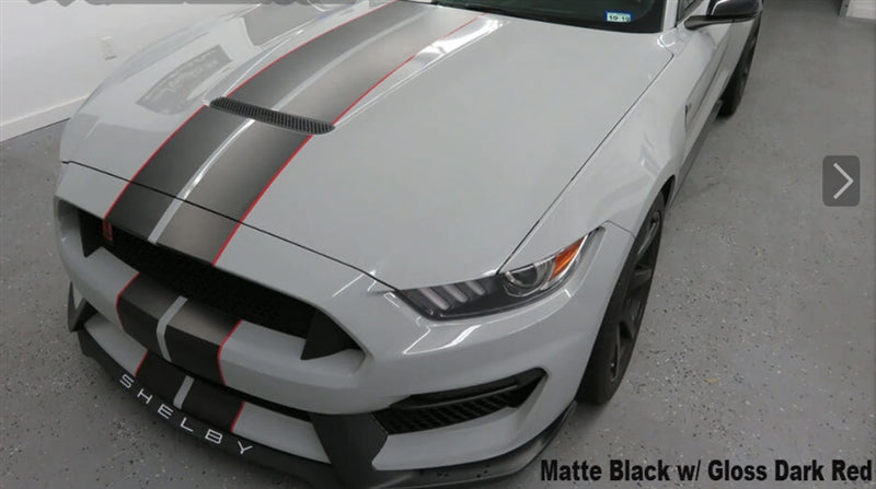 Mustang Dual Full Length Stripes GT350 (2015-20)