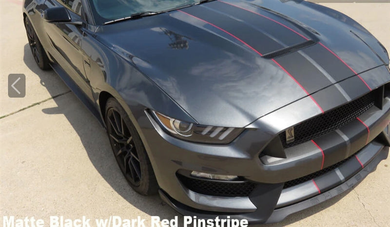 Mustang Dual Full Length Stripes GT350 (2015-20)