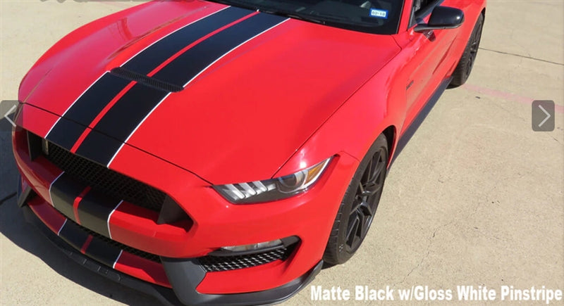 Mustang Dual Full Length Stripes GT350 (2015-20)