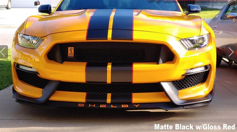 Mustang Dual Full Length Stripes GT350 (2015-20)