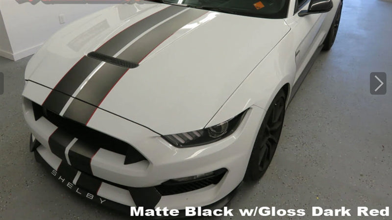 Mustang Dual Full Length Stripes GT350 (2015-20)