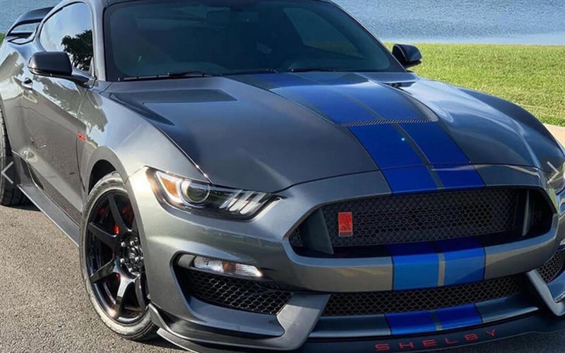 Mustang Dual Full Length Stripes GT350 (2015-20)