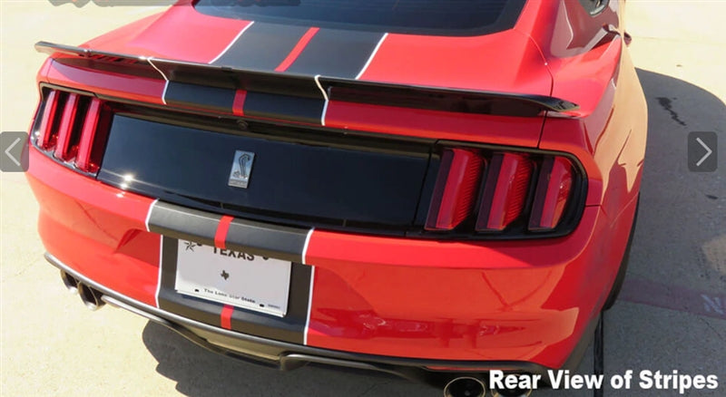 Mustang Dual Full Length Stripes GT350 (2015-20)