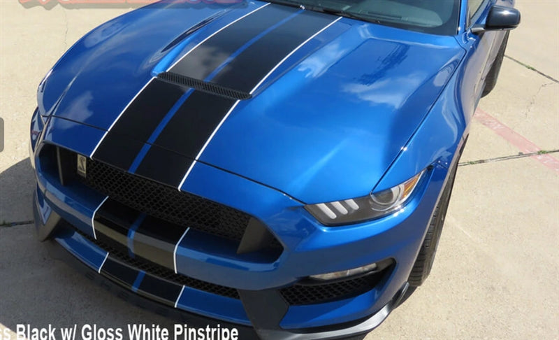 Mustang Dual Full Length Stripes GT350 (2015-20)