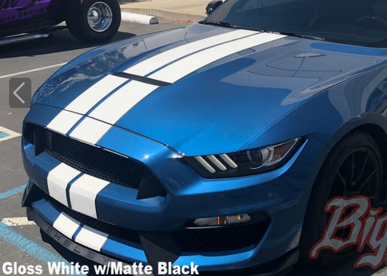 Mustang Dual Full Length Stripes GT350 (2015-20)