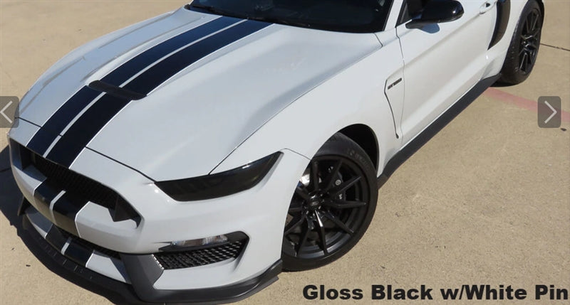 Mustang Dual Full Length Stripes GT350 (2015-20)
