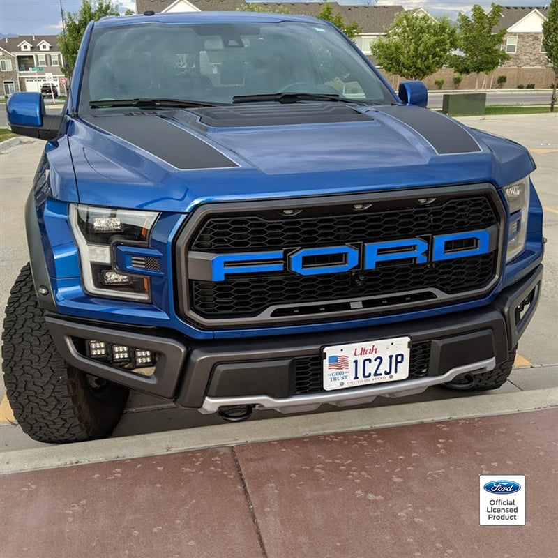 Ford Raptor Colored Chrome Grille Letter Decals (17-20)