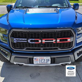 Ford Raptor American Flag Grille Letter Decals (17-20)