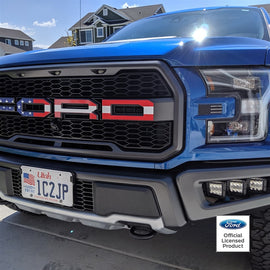 Ford Raptor American Flag Grille Letter Decals (17-20)