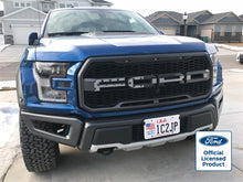 Load image into Gallery viewer, F-150 Ford Raptor Subdued Flag Grille Letters Flag (17-20)