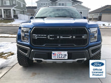 Load image into Gallery viewer, F-150 Ford Raptor Subdued Flag Grille Letters Flag (17-20)