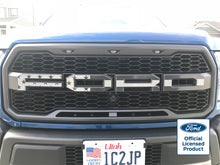 Load image into Gallery viewer, F-150 Ford Raptor Subdued Flag Grille Letters Flag (17-20)