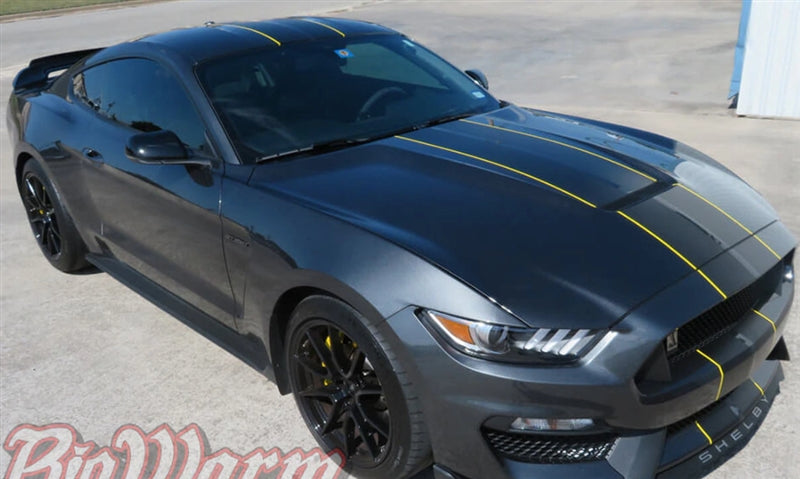 Mustang GT350 Dual Full Length Stripes (2015-20)