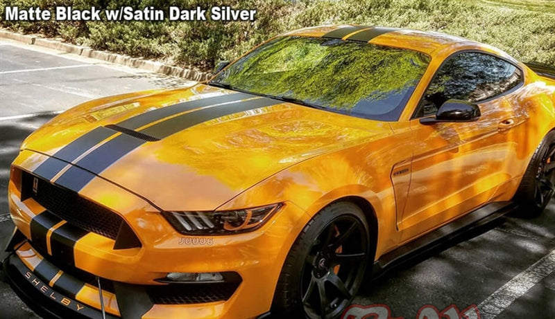 Mustang GT350 Dual Full Length Stripes (2015-20)