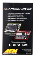 Load image into Gallery viewer, AEM 3.5 inch Short Neck 9 inch Element Filter Replacement