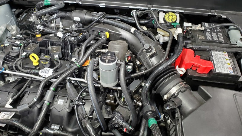 J&amp;L 19-23 Ford/Lincoln SUVs &amp; Trucks w 2.0 EcoBoost Driver Side Oil Separator 3.0 - Clear An
