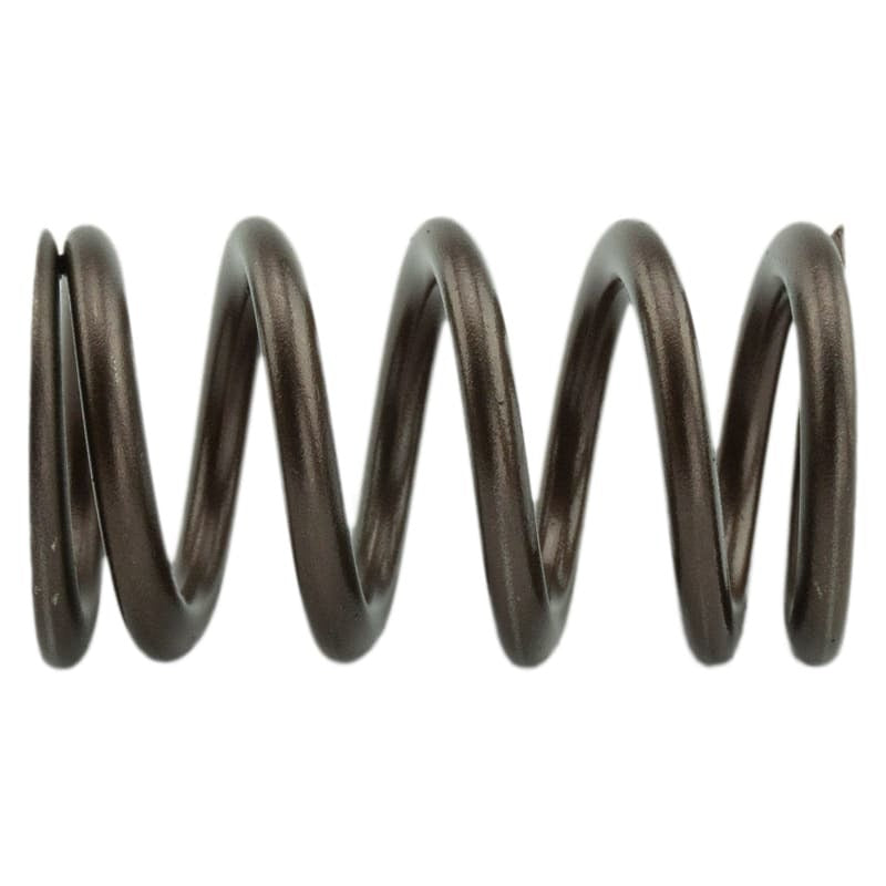 Industrial Injection 110 LBS Single Valve Spring Set