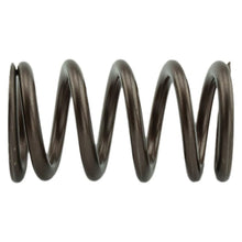 Load image into Gallery viewer, Industrial Injection 110 LBS Single Valve Spring Set