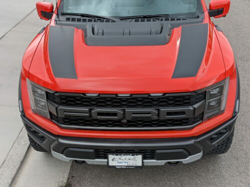 Ford Raptor Dual Hood Graphics Vinyl Stripes Decals (21-22)