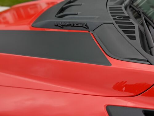 Ford Raptor Dual Hood Graphics Vinyl Stripes Decals (21-22)